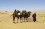 /environment/cache/images/300_200_productGfx_6105721e8361b41feee7dcae8944e043.jpg